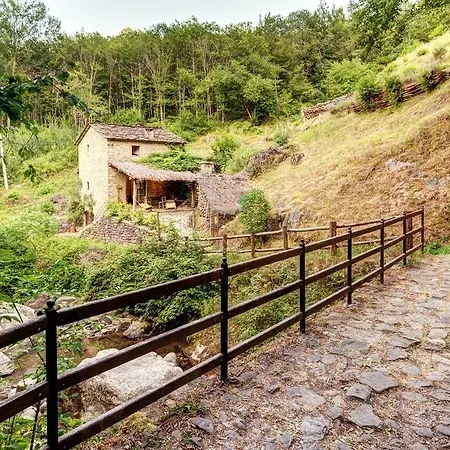 Il Mulino
